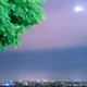 Illustration for article titled 45 of the Brightest Cities in the World, Photographed By One Woman